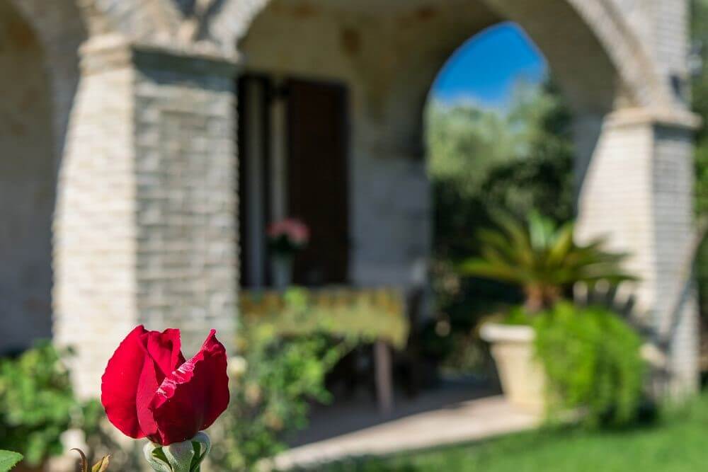 Athina Villa - Tsilivi Zakynthos Greece