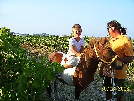 Augoustinos Villas - Tsilivi Zakynthos Greece