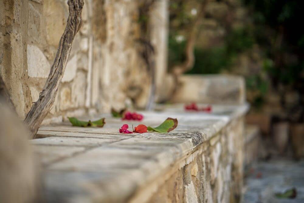 Bratis Holiday Home - Tsilivi Zakynthos Greece