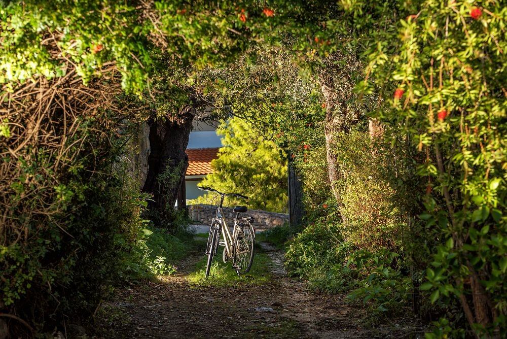 Bratis Holiday Home - Tsilivi Zakynthos Greece