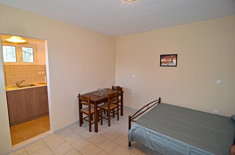 Eleni Studios - Tsilivi Zakynthos Greece