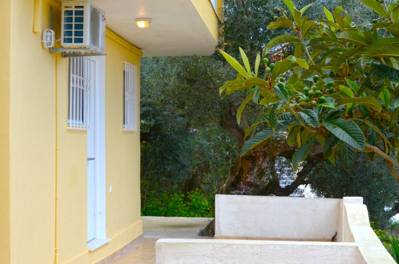 Eleni Studios - Tsilivi Zakynthos Greece