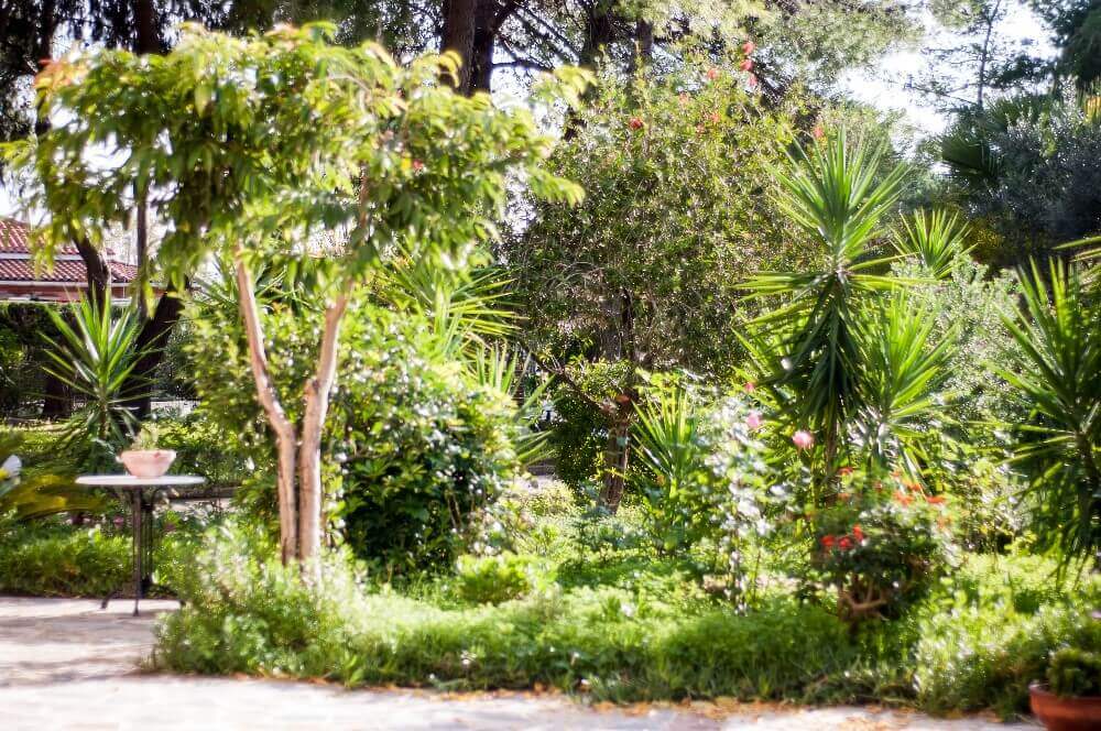 La Maison du Maire - Tsilivi Zakynthos Greece