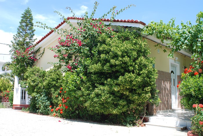 Litsa Studios - Tsilivi Zakynthos Greece