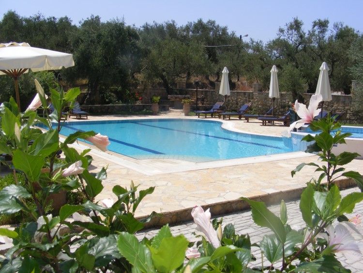 Olive Tree Villas - Tsilivi Zakynthos Greece