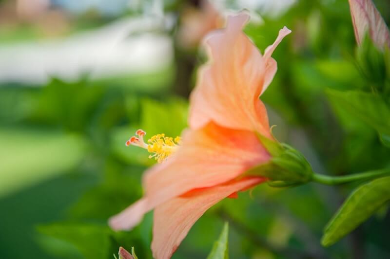 Oniro Studios - Tsilivi Zakynthos Greece