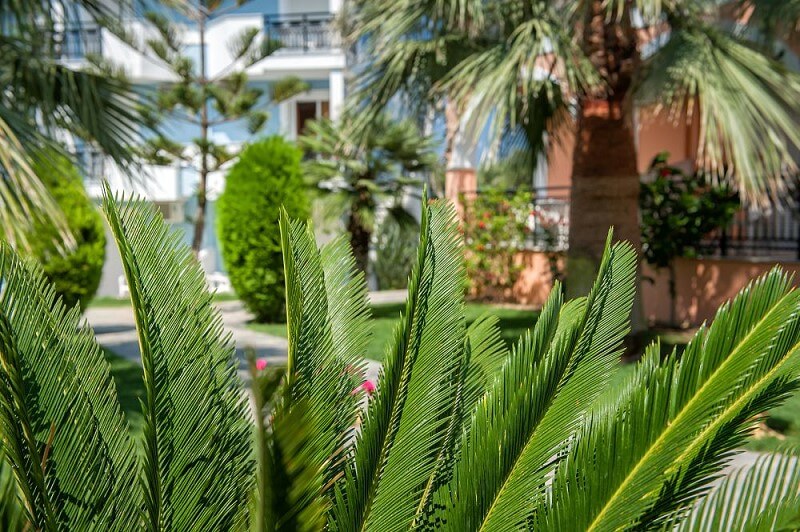 Oniro Studios - Tsilivi Zakynthos Greece