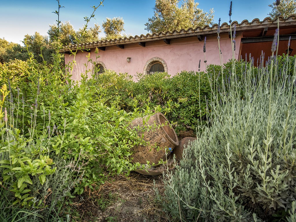 Sarakino Villa - House of Literature - Tsilivi Zakynthos Greece