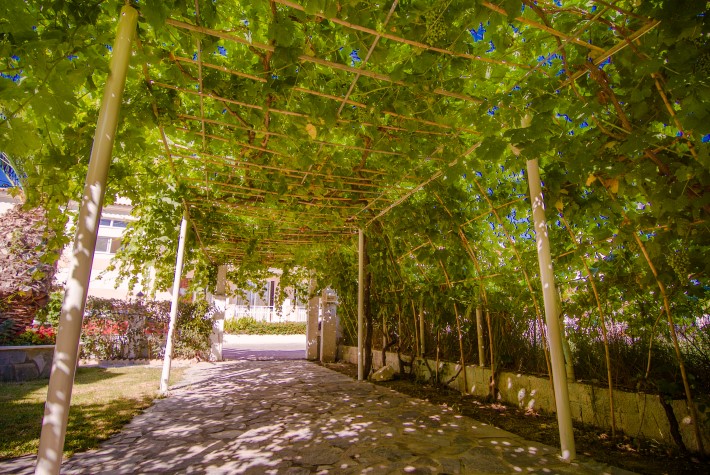 Sea Side Studios - Tsilivi Zakynthos Greece