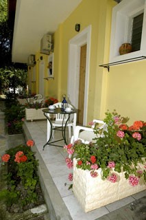 Trenta Nove Studios - Tsilivi Zakynthos Greece