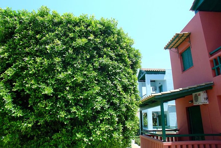 Trianon Studios - Tsilivi Zakynthos Greece