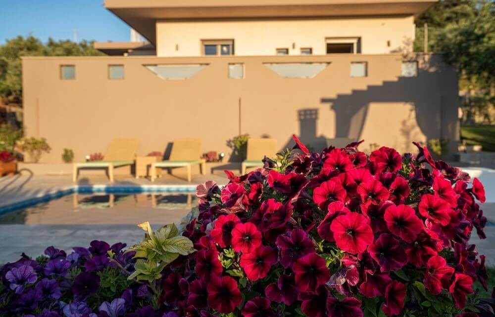 Vatia Villas - Tsilivi Zakynthos Greece