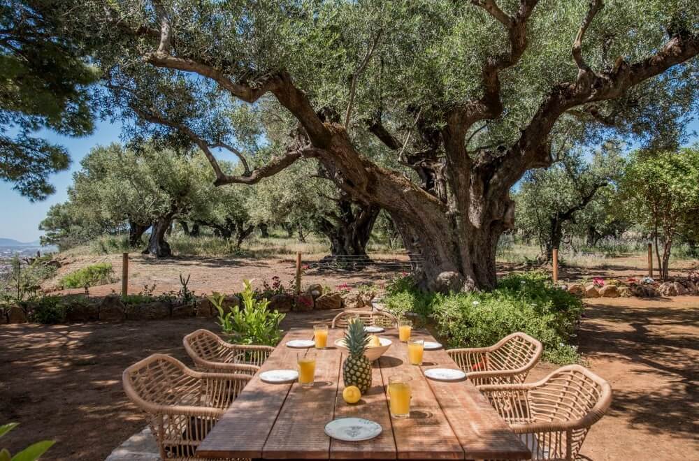 Villa Anatoli - Tsilivi Zakynthos Greece