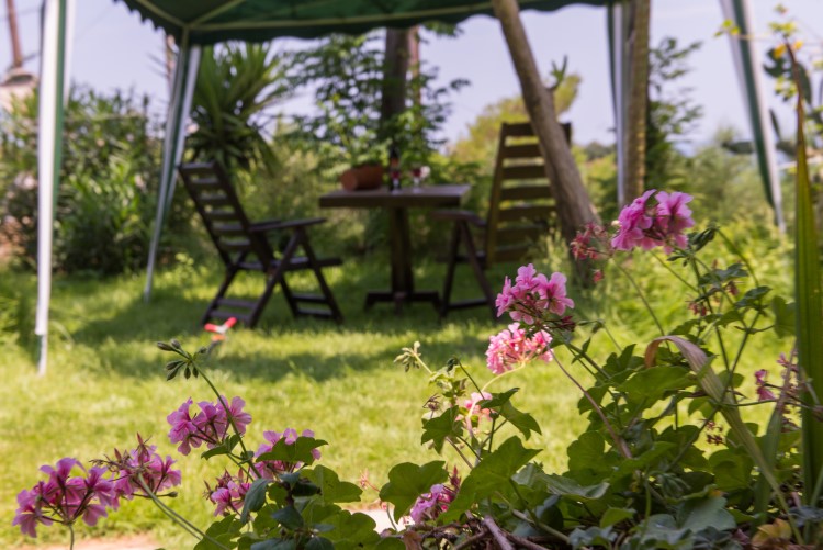 Yiannis Studios - Tsilivi Zakynthos Greece