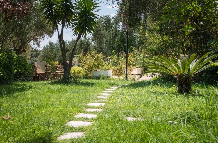 Yiannis Studios - Tsilivi Zakynthos Greece